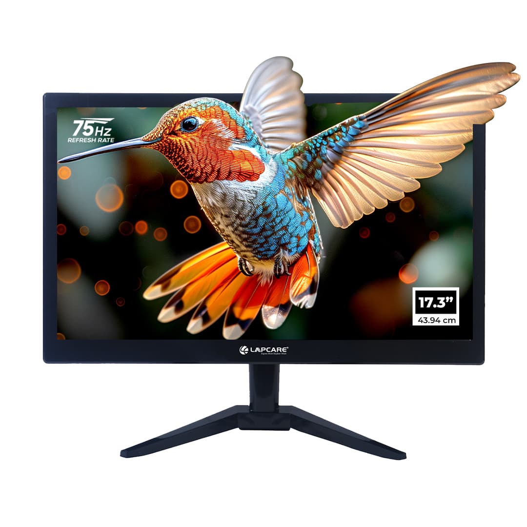 LM18WD - 17.3" (43.9CM) LED Monitor With HDMI & VGA Ports (LM18WD)